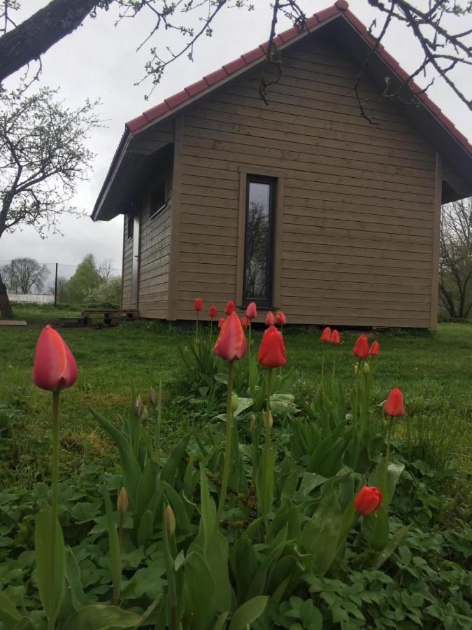 Holiday House Ausekla Namins Cēsis Zewnętrze zdjęcie